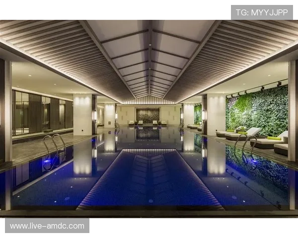 如何通过mgm美高梅国际官方网站轻松预订豪华住宿和享受尊贵会员福利