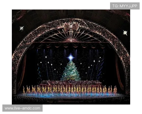 掌握百老汇官网网站的官方资讯与演出安排最新动态